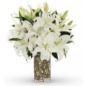 Flores Torrent - Floristería - Liliums Blancos